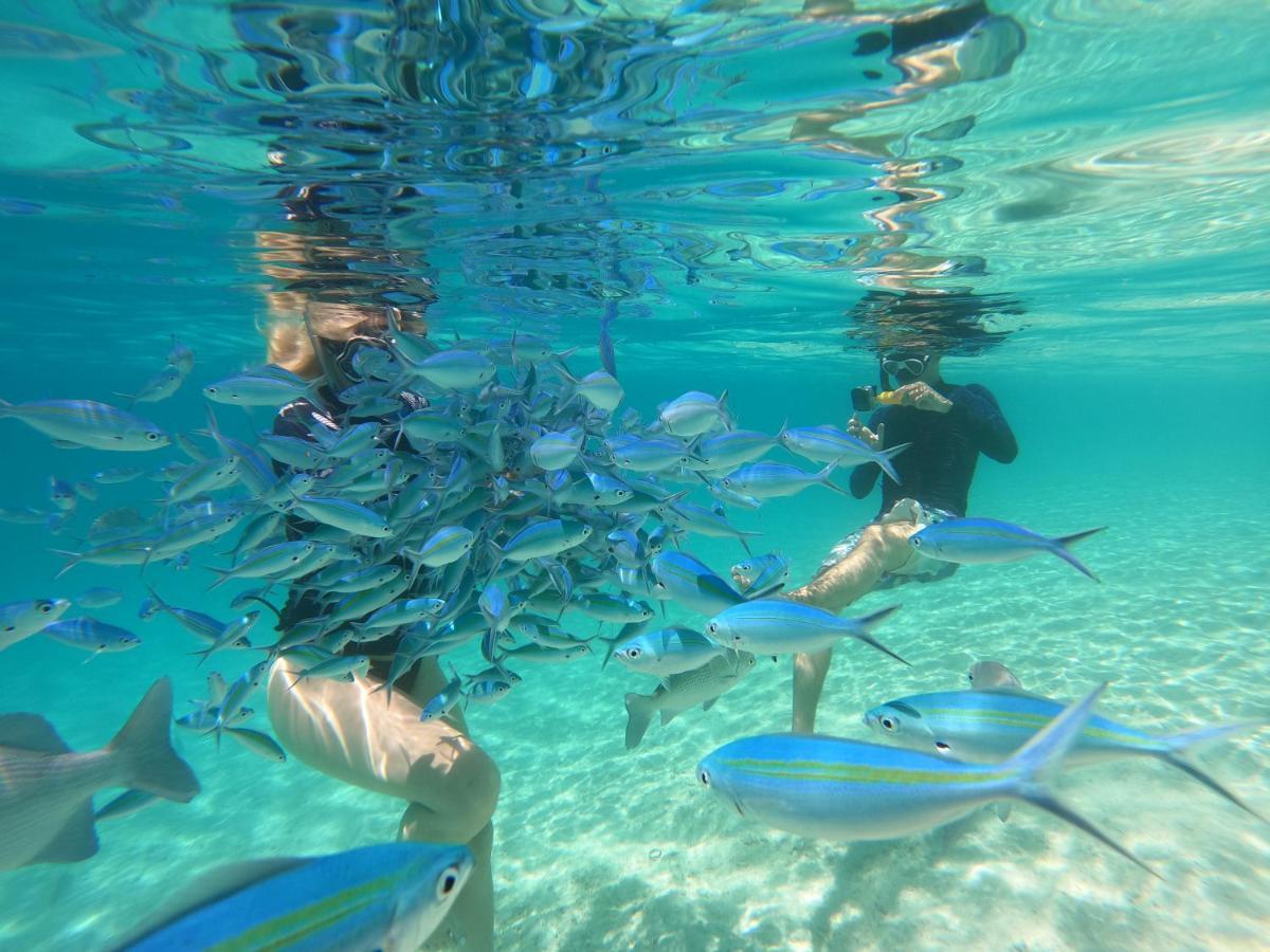 Amazing View Guest House Thoddoo-Atoll Exterior foto